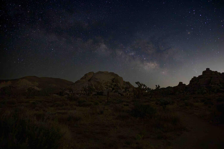 Joshua Tree