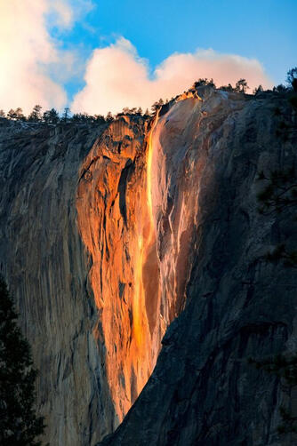Firefall Heart